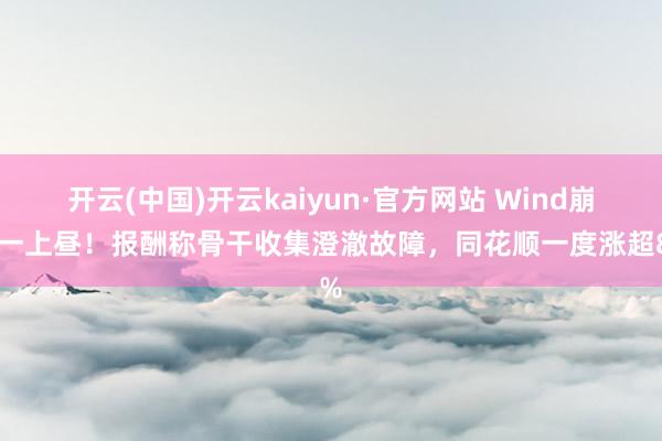 开云(中国)开云kaiyun·官方网站 Wind崩了一上昼！报酬称骨干收集澄澈故障，同花顺一度涨超8%