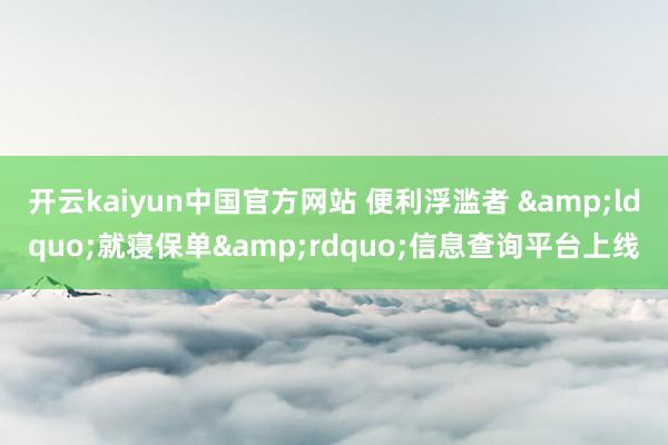 开云kaiyun中国官方网站 便利浮滥者 &ldquo;就寝保单&rdquo;信息查询平台上线