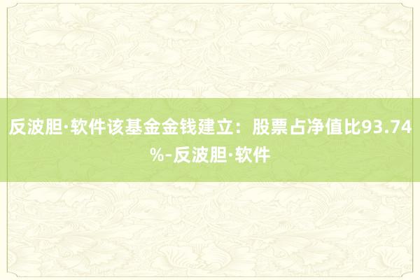 反波胆·软件该基金金钱建立：股票占净值比93.74%-反波胆·软件