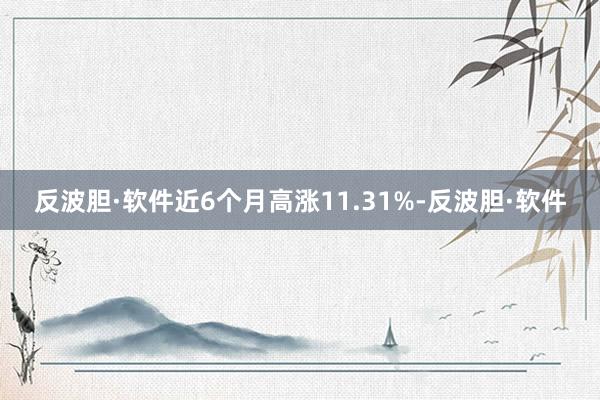 反波胆·软件近6个月高涨11.31%-反波胆·软件