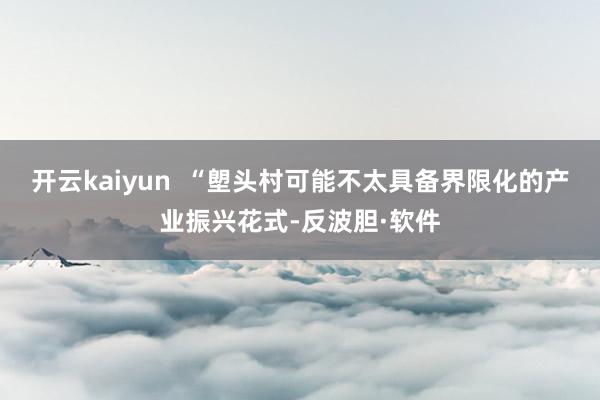 开云kaiyun  “塱头村可能不太具备界限化的产业振兴花式-反波胆·软件