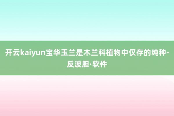 开云kaiyun宝华玉兰是木兰科植物中仅存的纯种-反波胆·软件