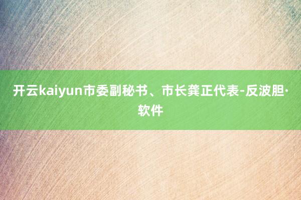 开云kaiyun市委副秘书、市长龚正代表-反波胆·软件