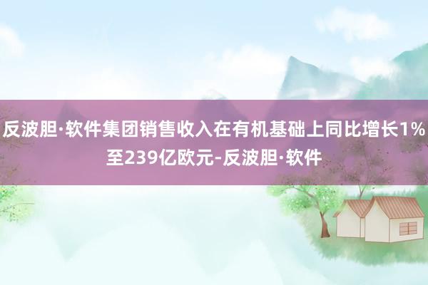 反波胆·软件集团销售收入在有机基础上同比增长1%至239亿欧元-反波胆·软件