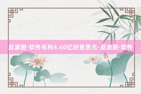 反波胆·软件毛利4.60亿好意思元-反波胆·软件