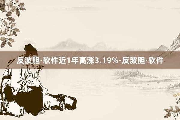 反波胆·软件近1年高涨3.19%-反波胆·软件