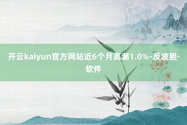 开云kaiyun官方网站近6个月高潮1.0%-反波胆·软件
