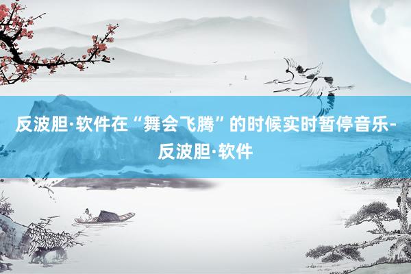 反波胆·软件在“舞会飞腾”的时候实时暂停音乐-反波胆·软件