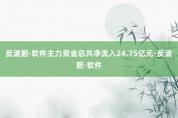 反波胆·软件主力资金总共净流入24.75亿元-反波胆·软件