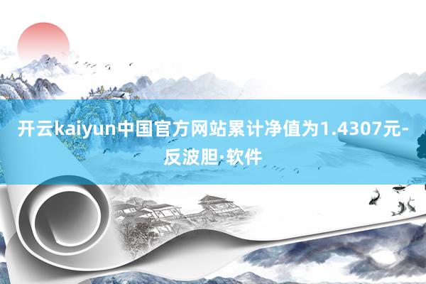 开云kaiyun中国官方网站累计净值为1.4307元-反波胆·软件