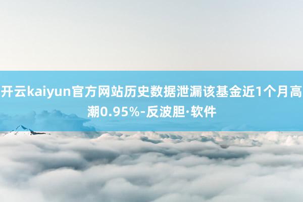 开云kaiyun官方网站历史数据泄漏该基金近1个月高潮0.95%-反波胆·软件