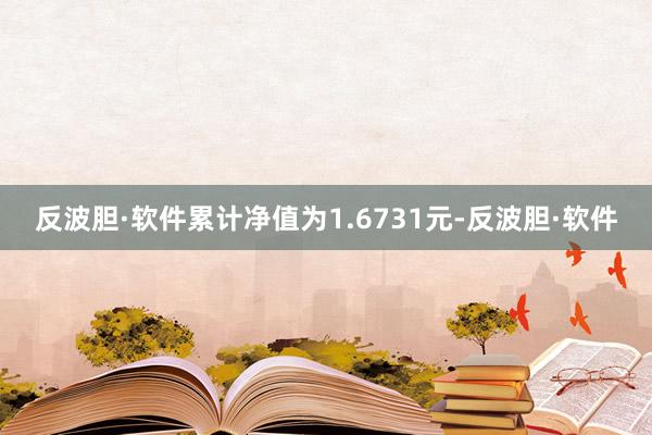 反波胆·软件累计净值为1.6731元-反波胆·软件