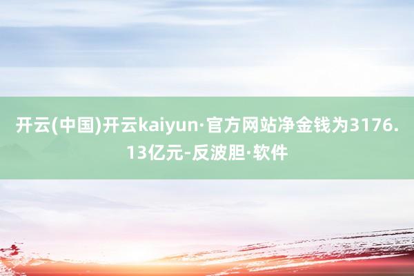 开云(中国)开云kaiyun·官方网站净金钱为3176.13亿元-反波胆·软件