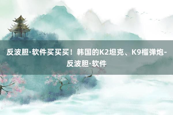 反波胆·软件买买买！韩国的K2坦克、K9榴弹炮-反波胆·软件