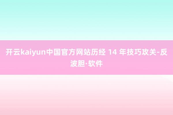 开云kaiyun中国官方网站历经 14 年技巧攻关-反波胆·软件