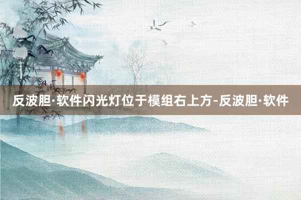 反波胆·软件闪光灯位于模组右上方-反波胆·软件