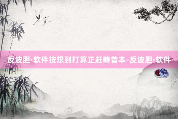 反波胆·软件按想到打算正赶畴昔本-反波胆·软件