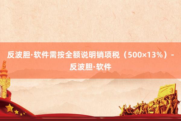 反波胆·软件需按全额说明销项税（500×13%）-反波胆·软件