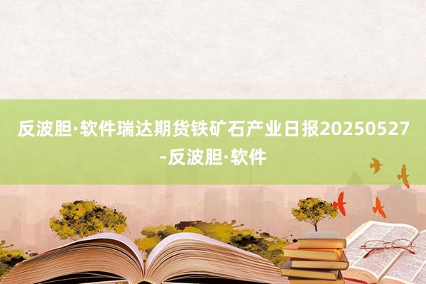 反波胆·软件瑞达期货铁矿石产业日报20250527-反波胆·软件