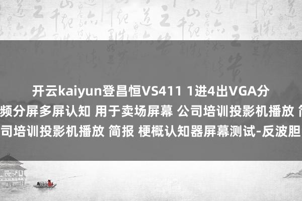 开云kaiyun登昌恒VS411 1进4出VGA分派器 电脑条记本机顶盒视频分屏多屏认知 用于卖场屏幕 公司培训投影机播放 简报 梗概认知器屏幕测试-反波胆·软件