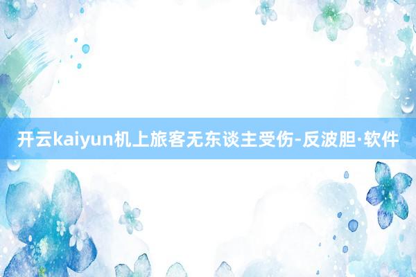 开云kaiyun机上旅客无东谈主受伤-反波胆·软件