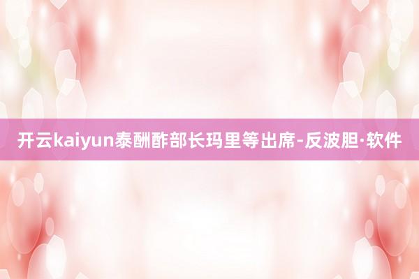 开云kaiyun泰酬酢部长玛里等出席-反波胆·软件