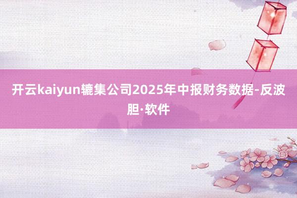 开云kaiyun辘集公司2025年中报财务数据-反波胆·软件