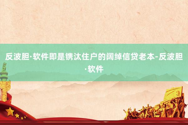 反波胆·软件即是镌汰住户的阔绰信贷老本-反波胆·软件