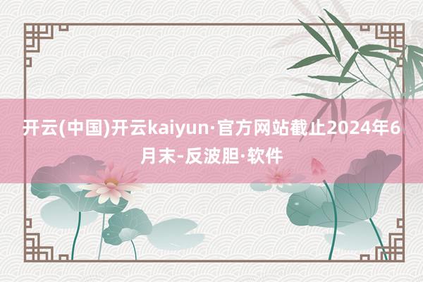 开云(中国)开云kaiyun·官方网站截止2024年6月末-反波胆·软件