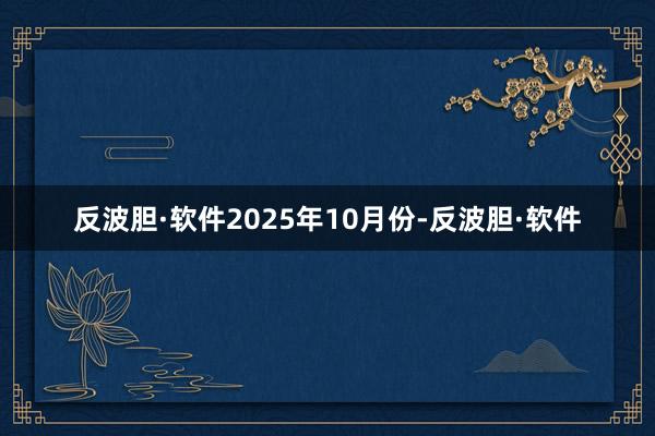 反波胆·软件  2025年10月份-反波胆·软件