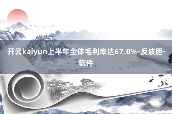 开云kaiyun上半年全体毛利率达67.0%-反波胆·软件