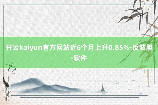 开云kaiyun官方网站近6个月上升0.85%-反波胆·软件