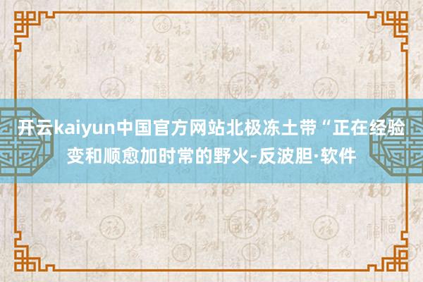 开云kaiyun中国官方网站北极冻土带“正在经验变和顺愈加时常的野火-反波胆·软件
