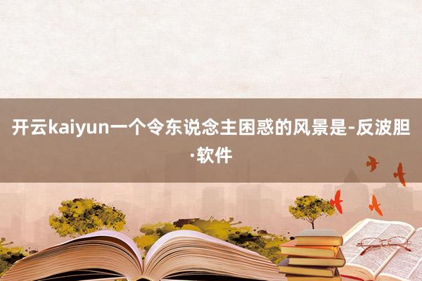 开云kaiyun一个令东说念主困惑的风景是-反波胆·软件