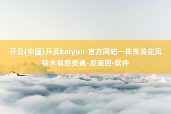开云(中国)开云kaiyun·官方网站一株株黄花风铃木悄然灵通-反波胆·软件