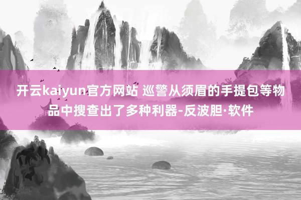 开云kaiyun官方网站 巡警从须眉的手提包等物品中搜查出了多种利器-反波胆·软件
