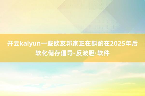 开云kaiyun一些欧友邦家正在斟酌在2025年后软化储存倡导-反波胆·软件