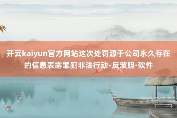 开云kaiyun官方网站这次处罚源于公司永久存在的信息表露罪犯非法行动-反波胆·软件