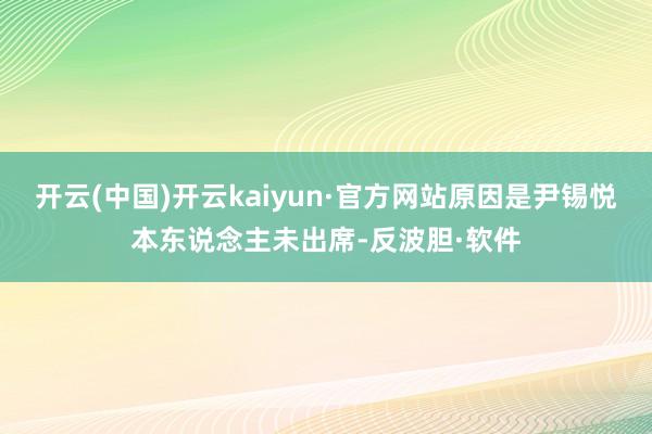 开云(中国)开云kaiyun·官方网站原因是尹锡悦本东说念主未出席-反波胆·软件