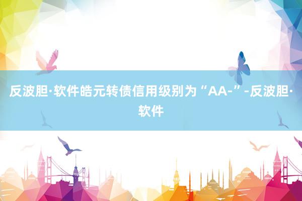 反波胆·软件皓元转债信用级别为“AA-”-反波胆·软件