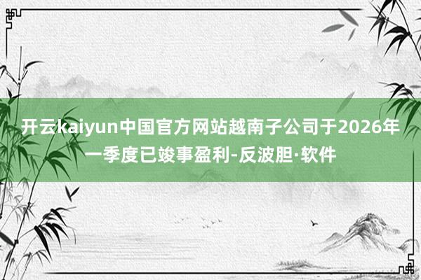 开云kaiyun中国官方网站越南子公司于2026年一季度已竣事盈利-反波胆·软件