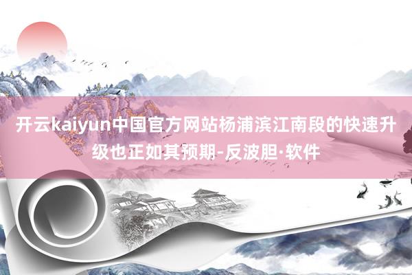 开云kaiyun中国官方网站杨浦滨江南段的快速升级也正如其预期-反波胆·软件