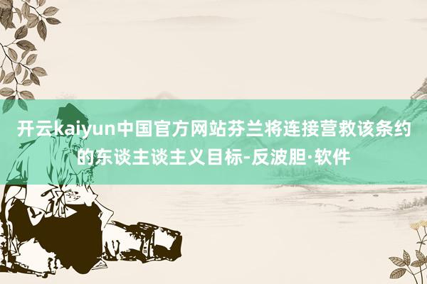 开云kaiyun中国官方网站芬兰将连接营救该条约的东谈主谈主义目标-反波胆·软件