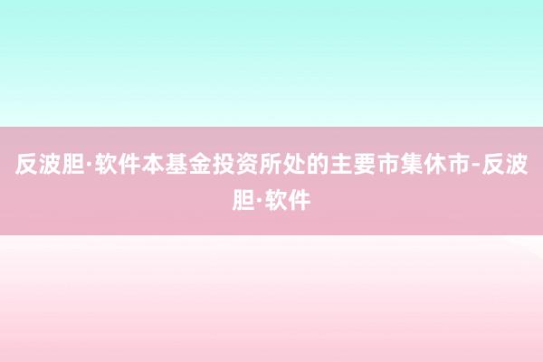 反波胆·软件本基金投资所处的主要市集休市-反波胆·软件