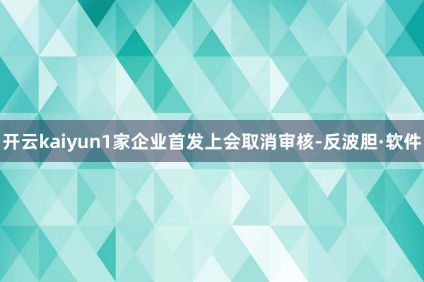 开云kaiyun1家企业首发上会取消审核-反波胆·软件