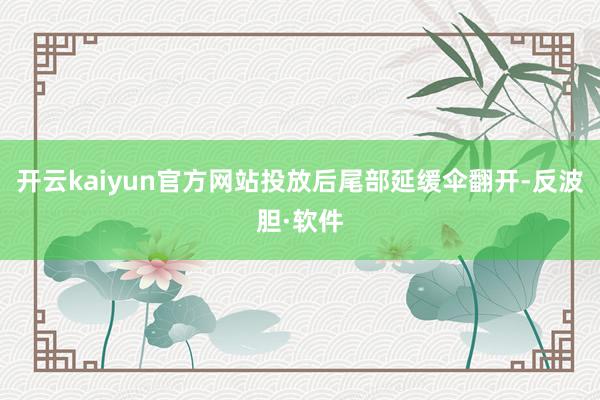 开云kaiyun官方网站投放后尾部延缓伞翻开-反波胆·软件