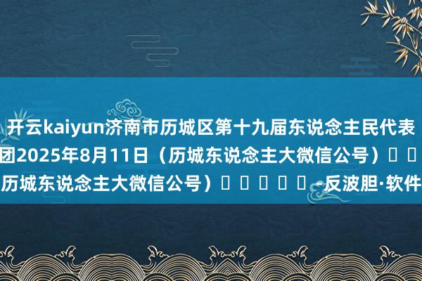 开云kaiyun　　济南市历城区第十九届东说念主民代表大会　　第五次会议主席团　　2025年8月11日　　（历城东说念主大微信公号）　　					-反波胆·软件