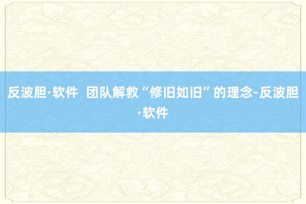 反波胆·软件  团队解救“修旧如旧”的理念-反波胆·软件