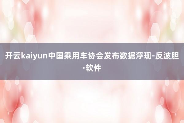 开云kaiyun中国乘用车协会发布数据浮现-反波胆·软件