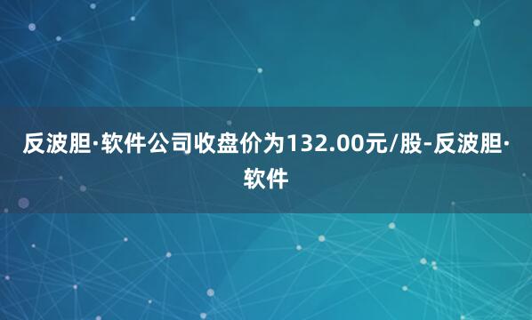 反波胆·软件公司收盘价为132.00元/股-反波胆·软件